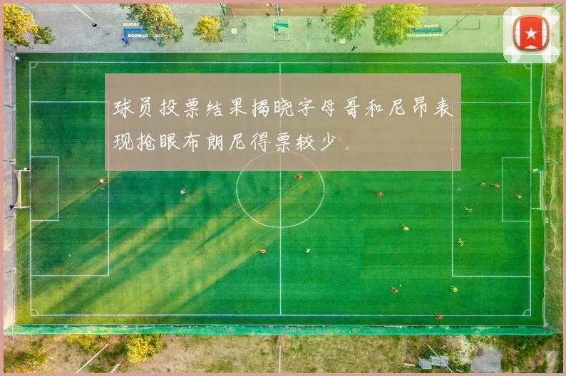 球员投票结果揭晓字母哥和尼昂表现抢眼布朗尼得票较少